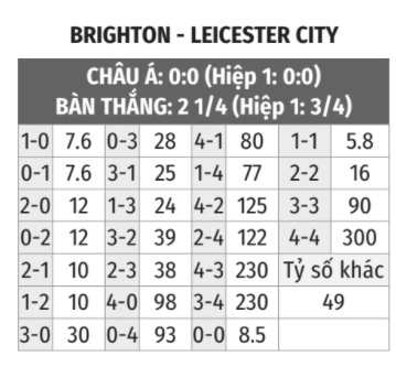 Brighton vs Leicester