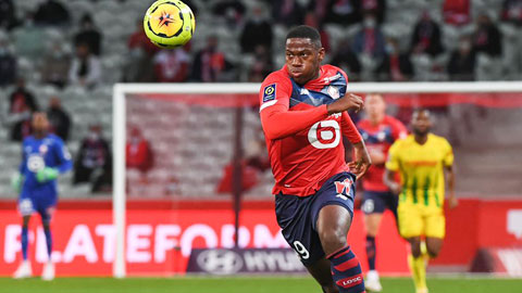 Lille trông chờ vào Jonathan David ở màn so tài Sevilla