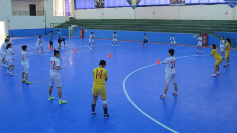 ĐT futsal nam và nữ Việt Nam tích cực chuẩn bị