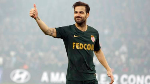 Fabregas rời Monaco nhưng chưa giải nghệ