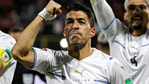 Luis Suarez tìm được bến đỗ mới