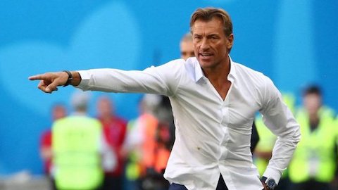 HLV Nguyễn Văn Sỹ: 'Nam Định không hề sa thải HLV Herve Renard'