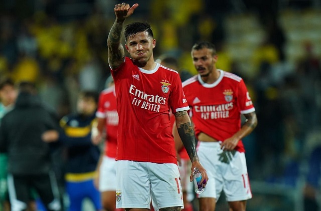 Enzo Fernandez cập bến Benfica hè năm ngoái với trị giá 14 triệu Euro