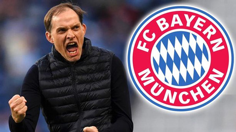 Fan Chelsea sợ bị Tuchel trả thù ở Champions League khi dẫn dắt Bayern