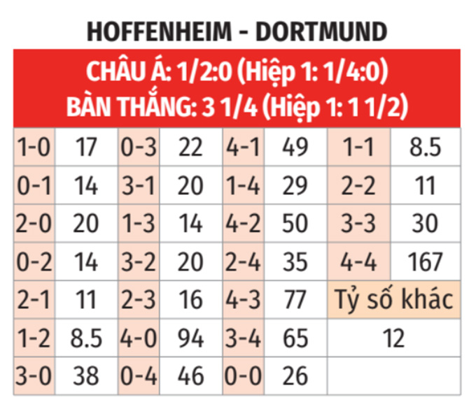 Hoffenheim vs Dortmund