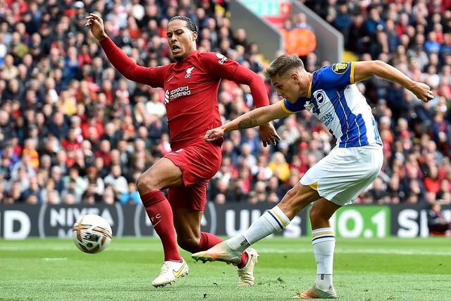 Trung vệ Van Dijk đã già nua và khó đua tốc độ với cầu thủ Brighton