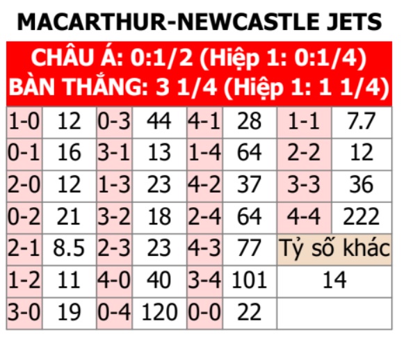 Macarthur vs Newcastle Jets